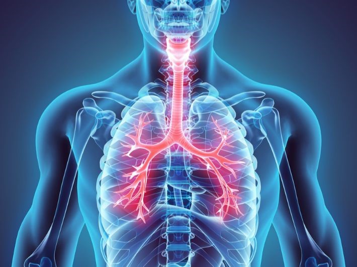 Respiratory System Profile (2)